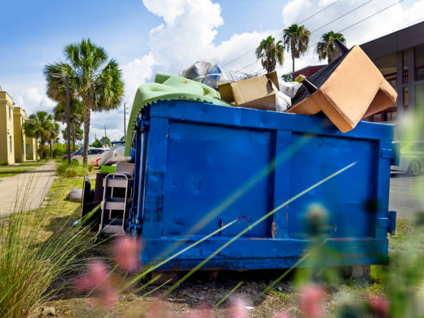 Best Yard Cleanup Services  in Hildale, UT